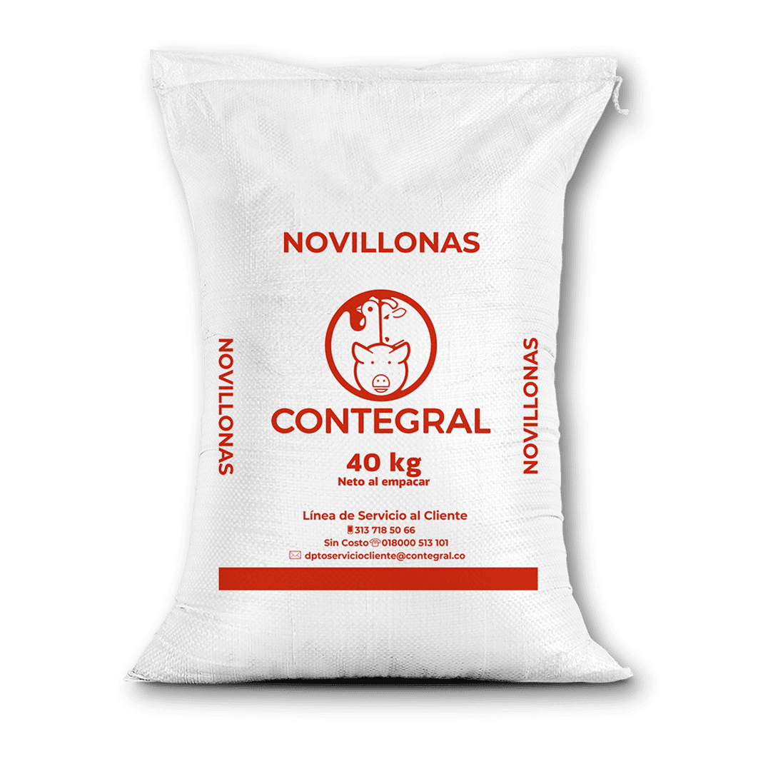 Novillonas